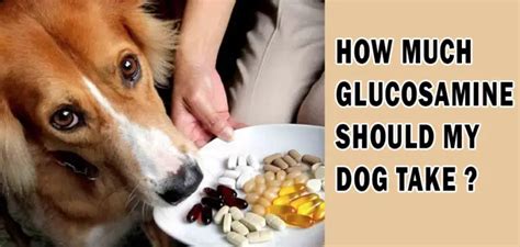 maximum glucosamine dosage for dogs.